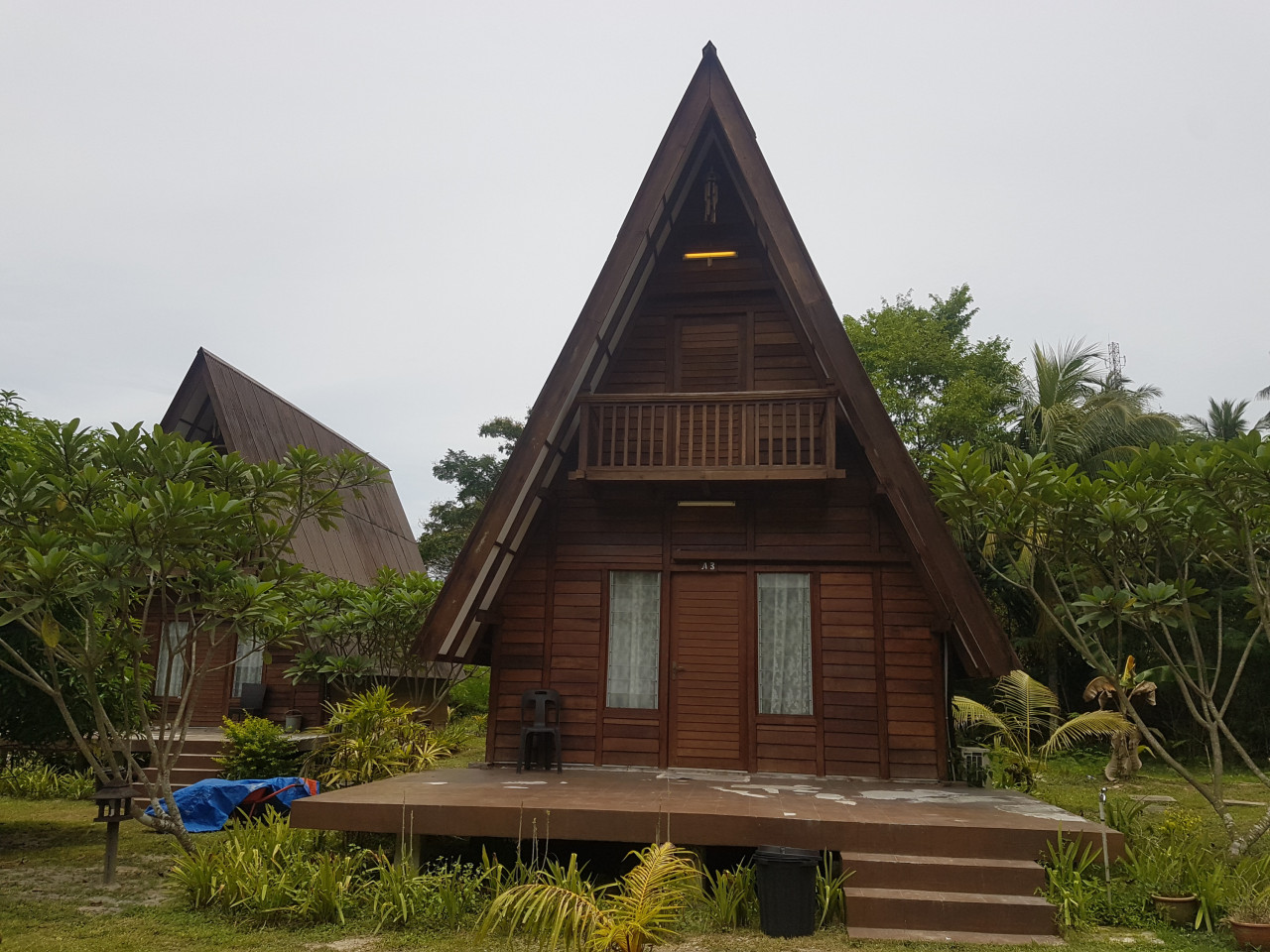 Gambar: Shah Shamshiri