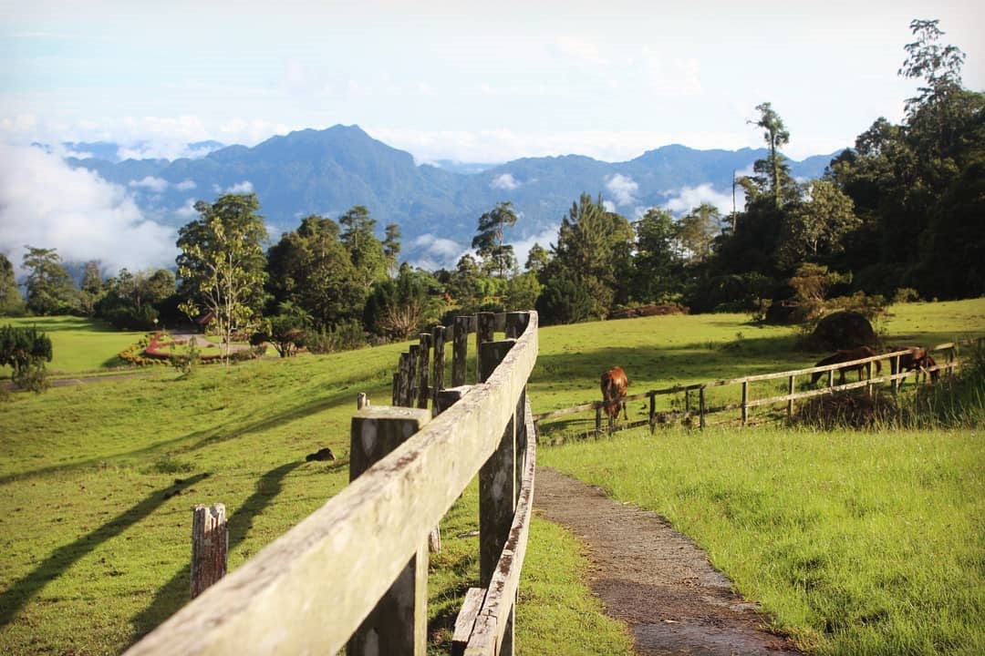 Panorama di Borneo Highland Resort