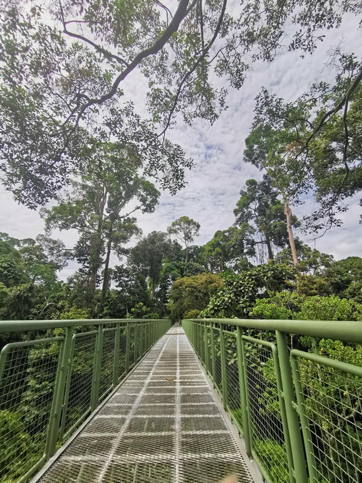 Gambar: Instagram @aereonwong / RDC