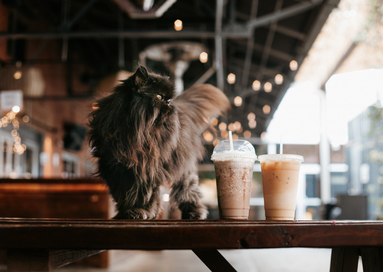 Gambar Hiasan Unsplash
