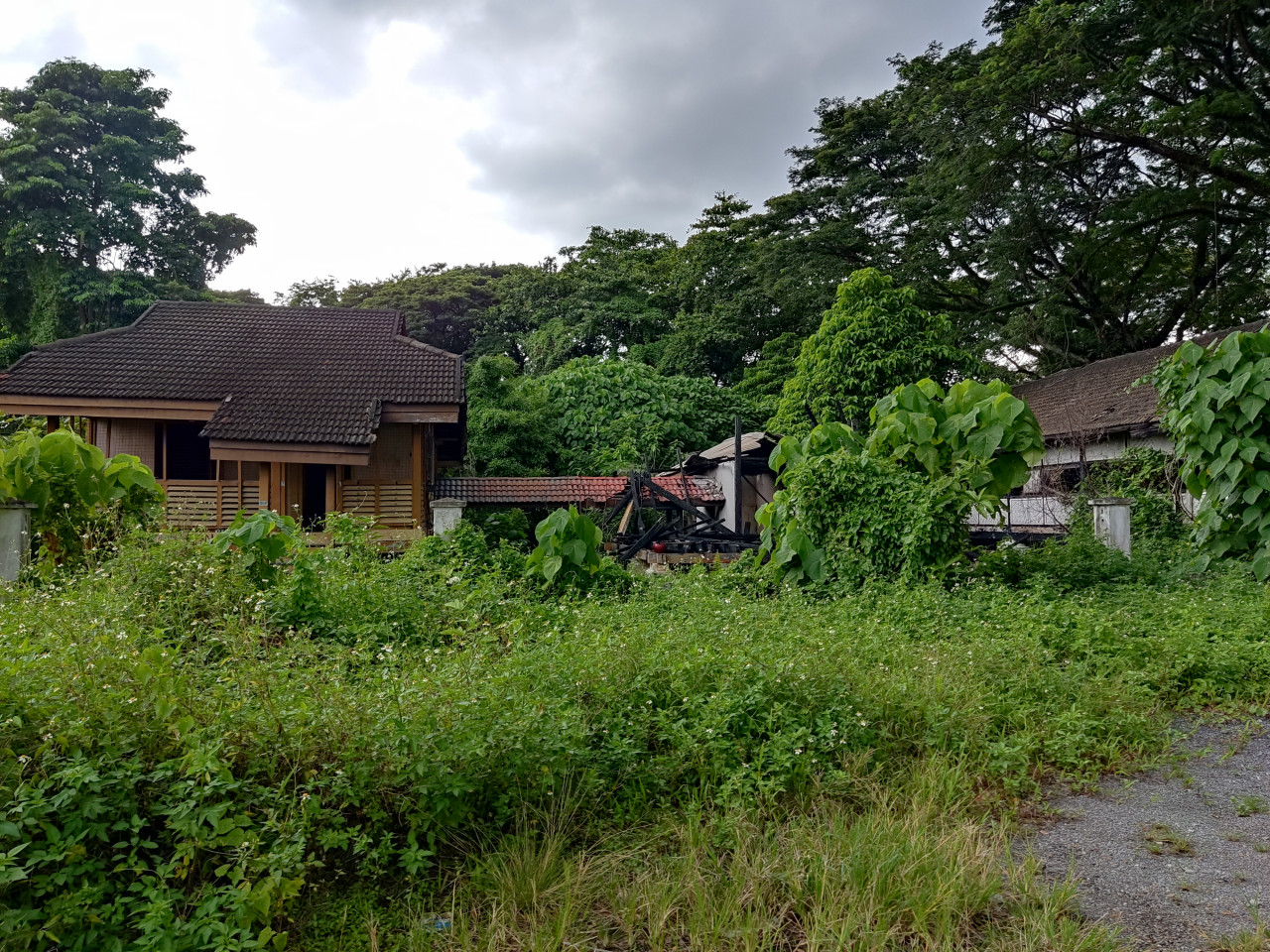 Bekas tapak bangunan kerajaan yang mahu direalisasikan Allahyarham Mamat sebagai Sarang Art Hub di Ipoh.