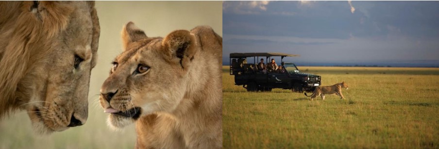 Taman Negara Serengeti