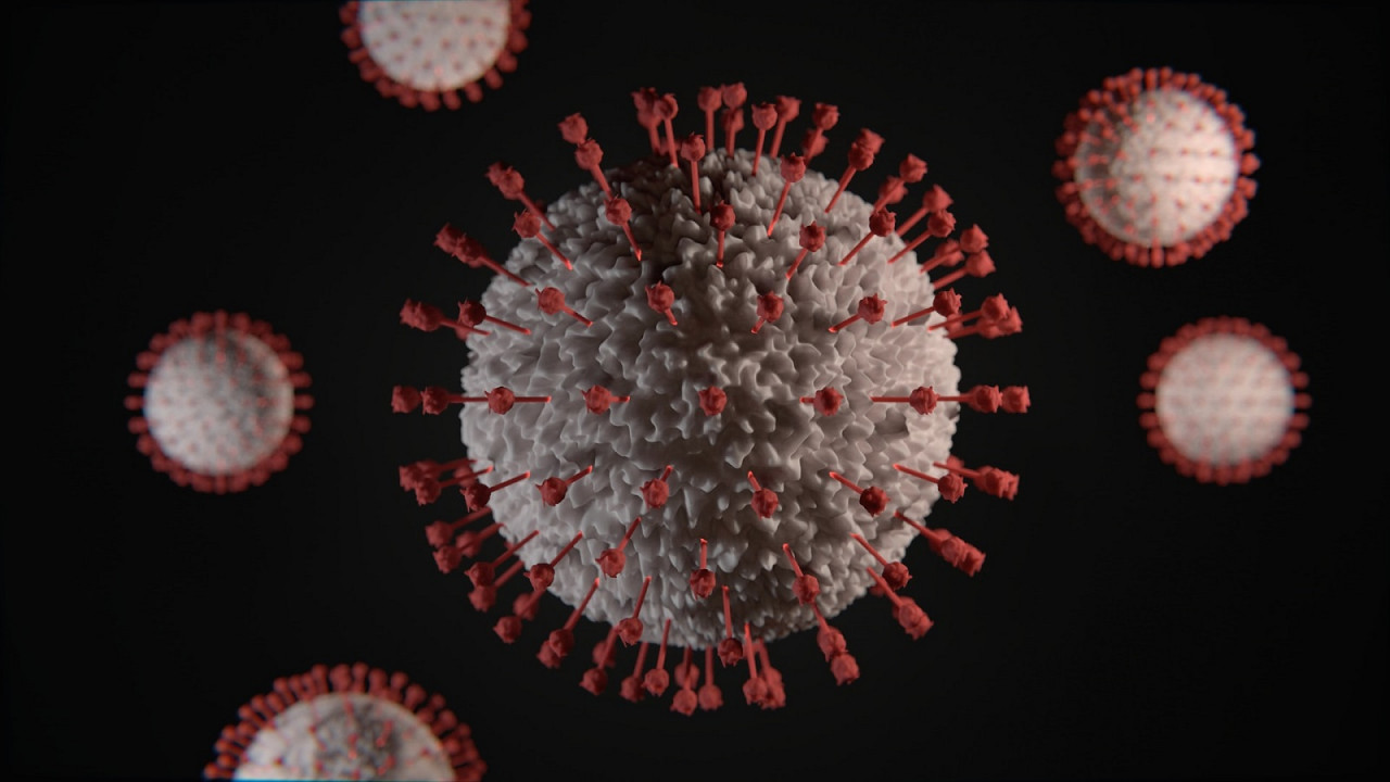 Virus COVID-19