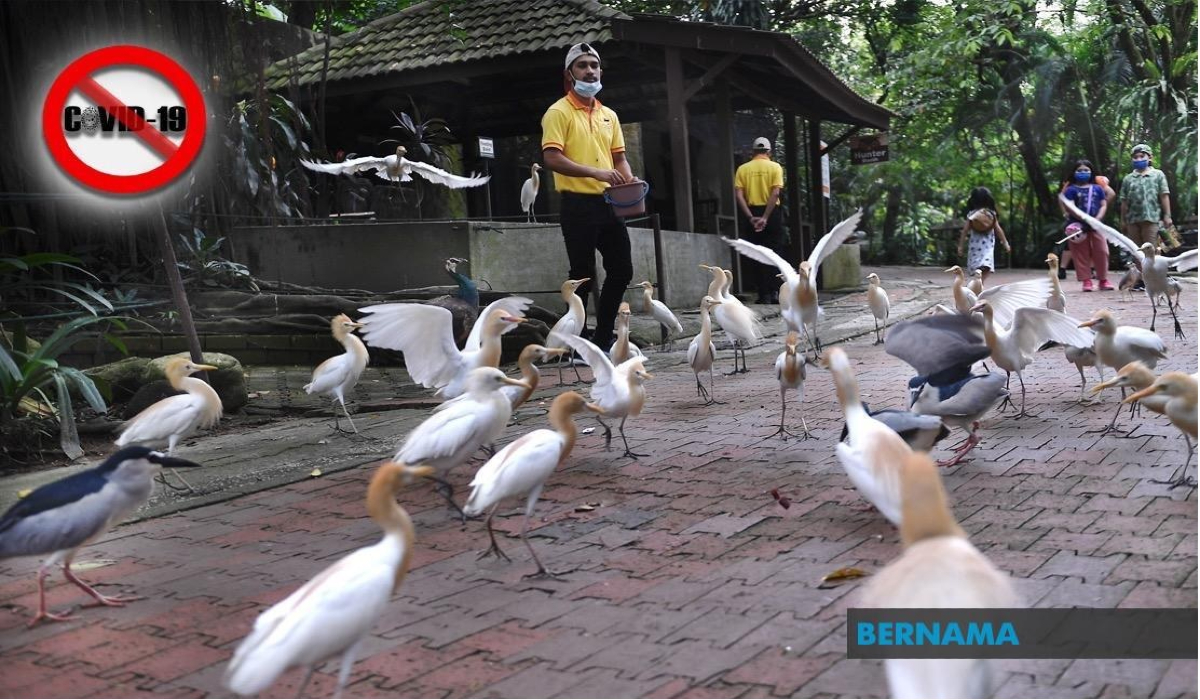 Gambar ihsan Bernama