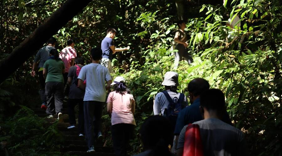 Peserta perlu menempuh perjalanan merentasi denai hutan sebagai sebahagian daripada terapi hutan. - gambar Phwah You Yang