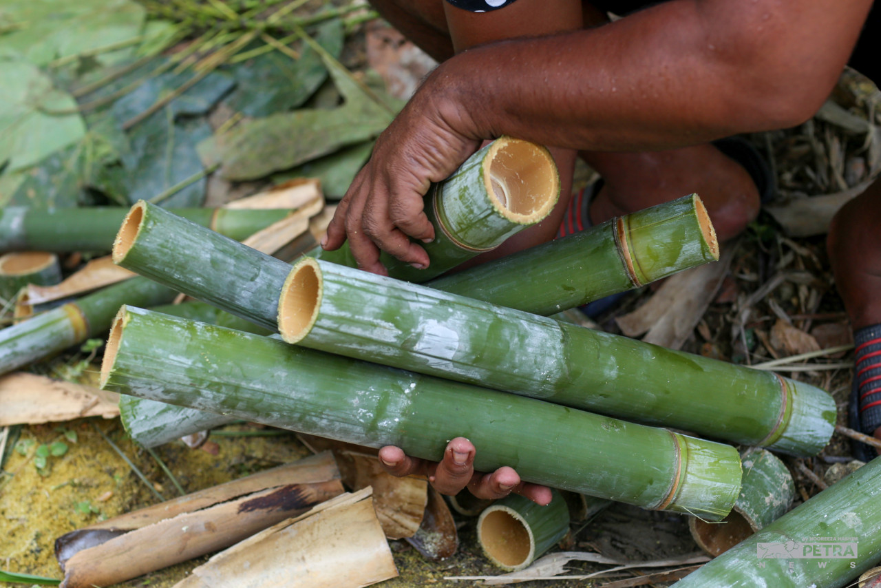 Buluh-buluh lemang akan dipotong mengikut saiz yang diminta.