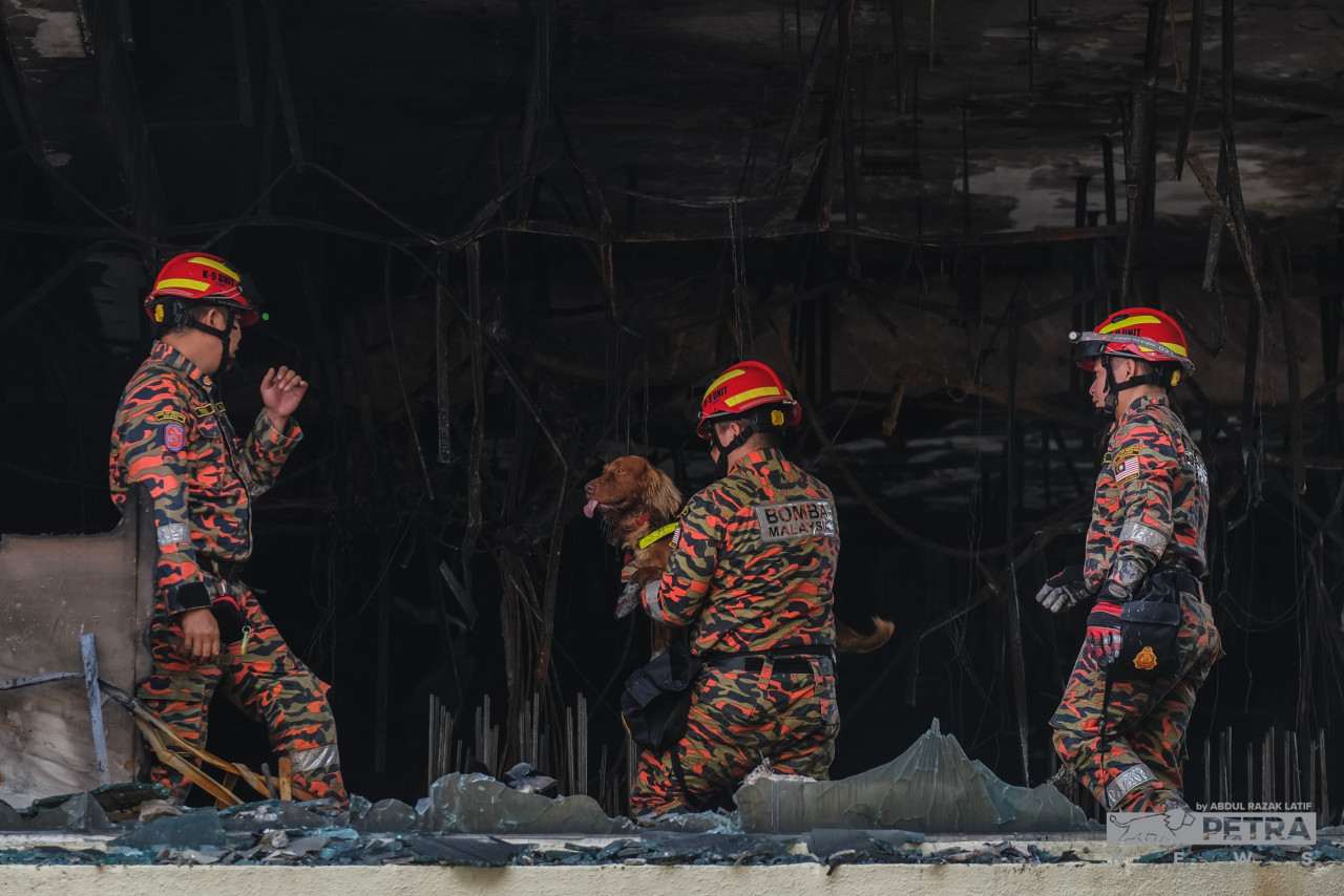 JBPM turut mendapat peruntukan membeli 12 ekor anjing unit pengesan (K9) bagi membantu operasi mencari dan menyelamat dalam bencana - Gambar Fail