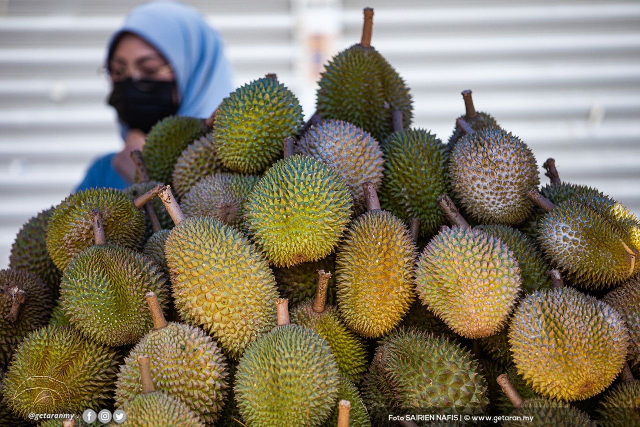 Pakej durian yang menggabungkan elemen ekopelancongan, agropelancongan, arkeopelancongan dan pengembaraan lasak - Gambar hiasan