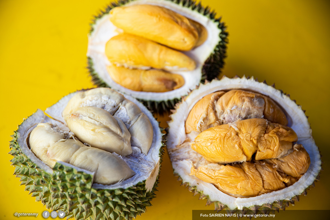 Pelbagai jenis durian. Gambar hiasan