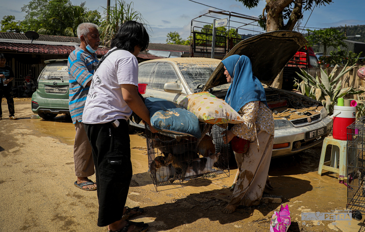 Sekeluarga menyelamatkan kucing peliharaan mereka yang juga terkesan akibat banjir semalam. - Gambar oleh Syeda Imran