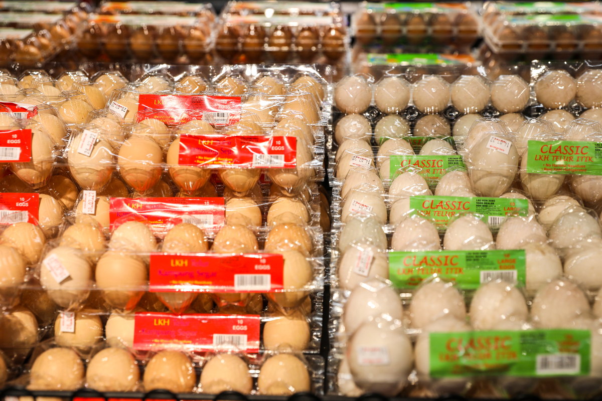 Subsidi ayam pada 1 November 2022 ialah 80 sen sekg dan telur 10 sen sebiji tanpa mengira gred - Gambar Hiasan
