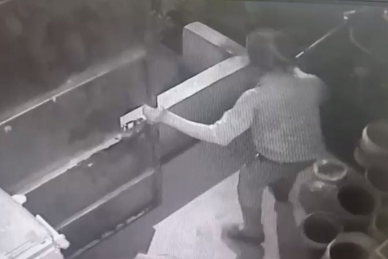 Sebelum ini, tular video yang memaparkan insiden membabitkan tertuduh bergelut dengan anggota MBPJ ketika cuba melindungi beberapa ekor anjing liar daripada ditangkap - Gambar Fail