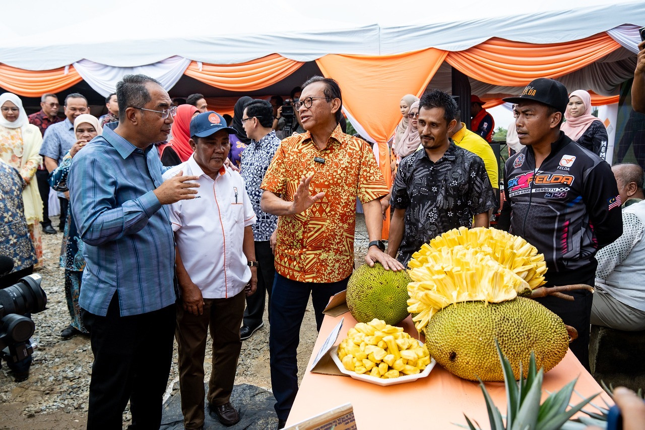 Gambar FELDA