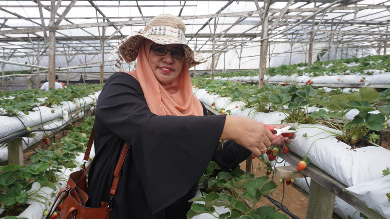 Asidah Abdul Ghani