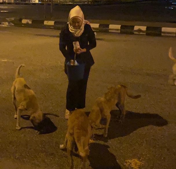 Gambar Hiasan, Gambar Fail