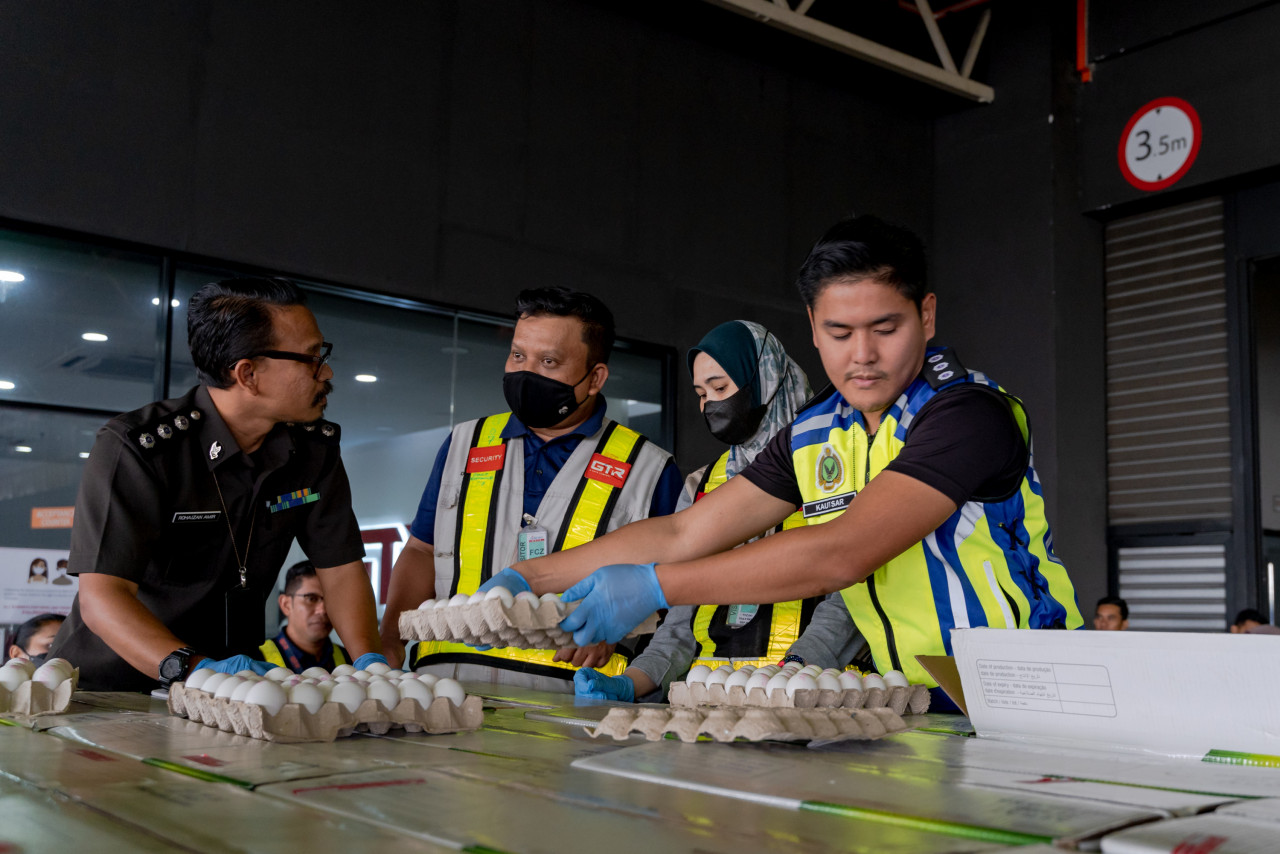Inisiatif membawa masuk telur ayam dari sumber luar adalah bagi memastikan kecukupan bekalan telur ayam dalam negara dengan harga kompetitif