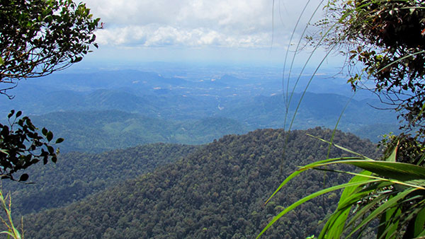  Taman Eko Rimba Kanching, Gombak