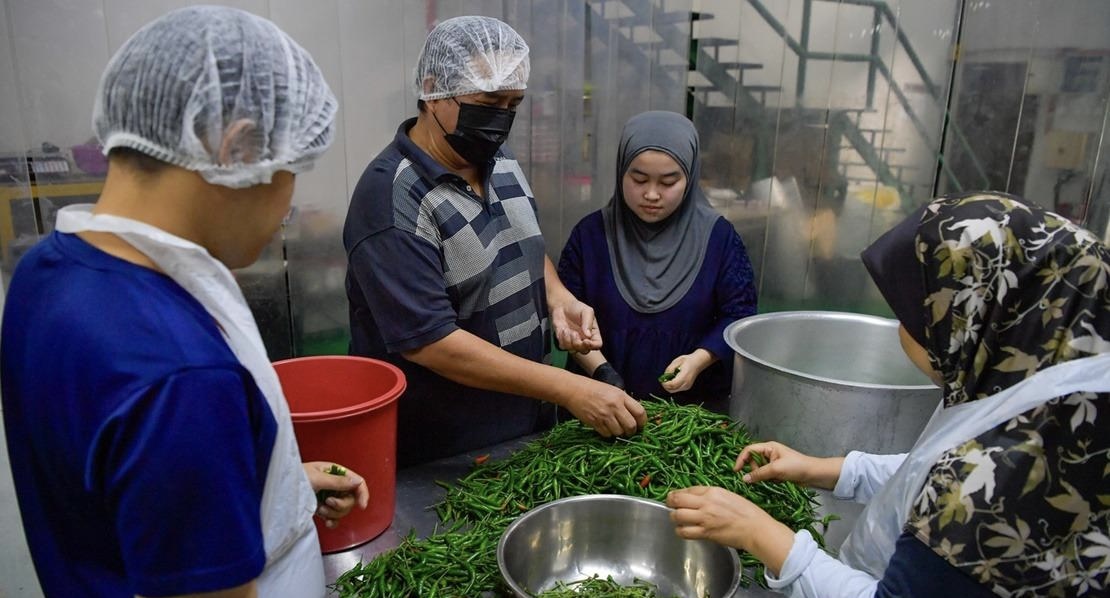 Proses memilih cili sebelum sos dihasilkan - gambar BERNAMA