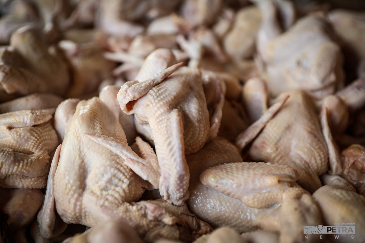 Bekalan ayam dan telur pulih susulan langkah sementara diambil kerajaan dengan membenarkan bahan mentah berkenaan diimport.