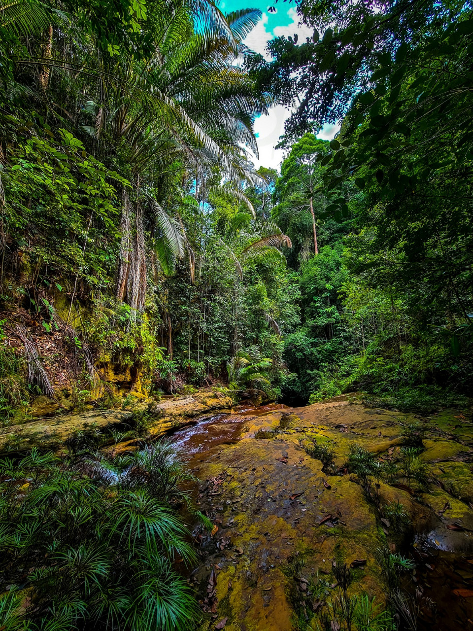 Miri, Malaysia