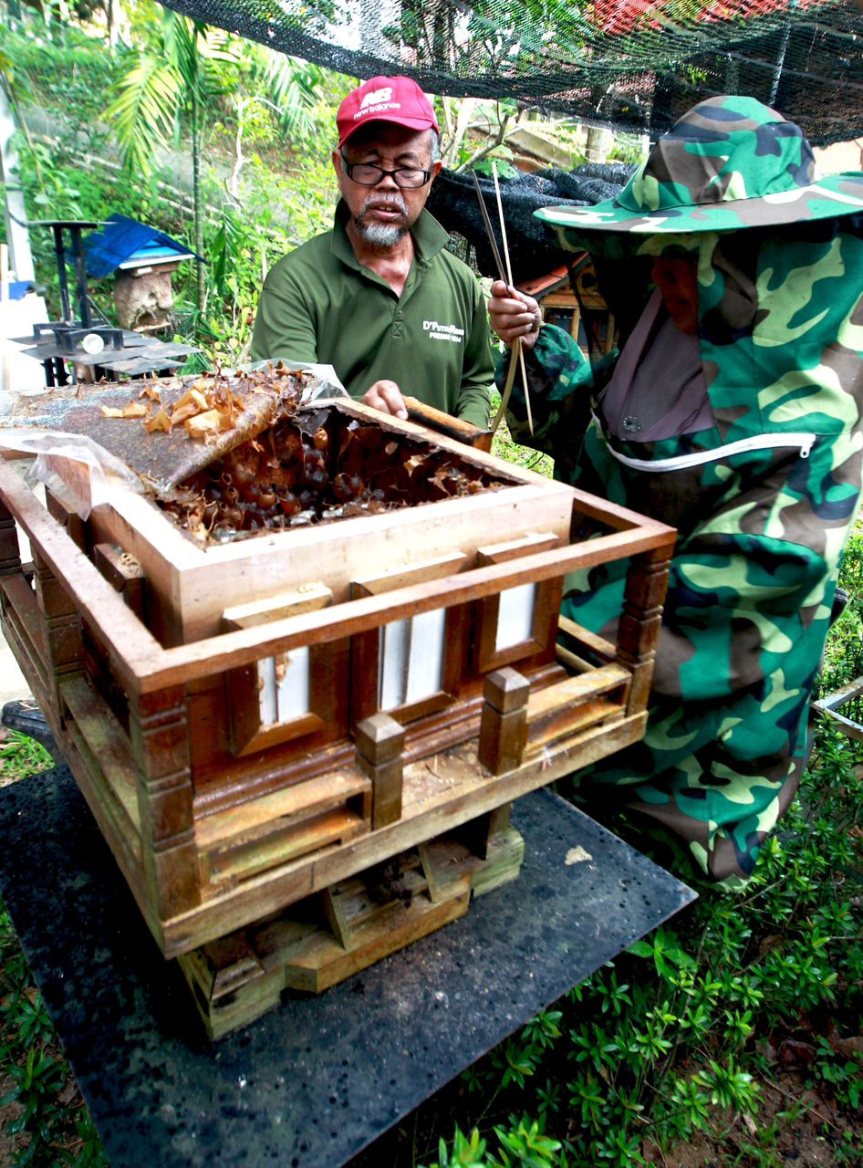 Ladang kelulut Presint 6 diusahakan dan dibangunkan sendiri oleh penduduk setempat