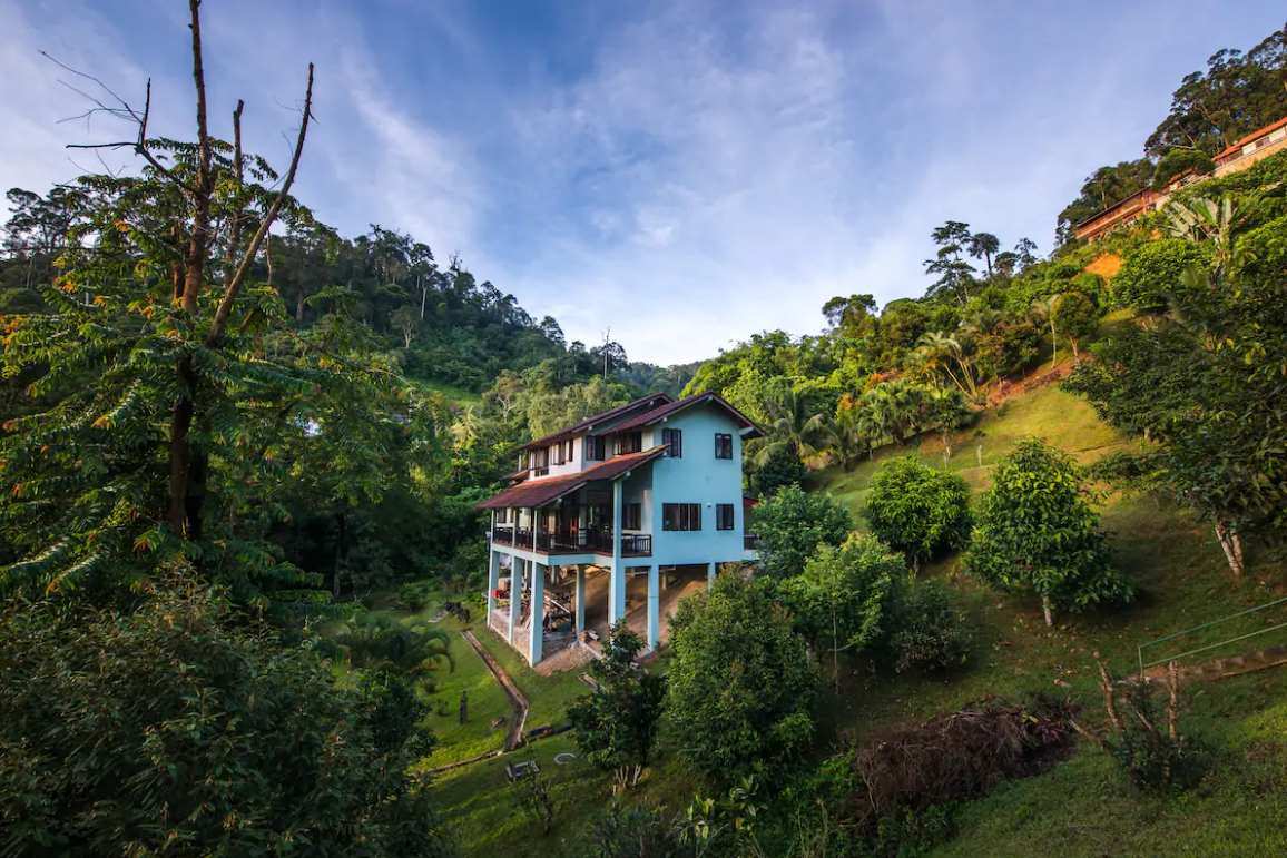 Rainforest Retreat