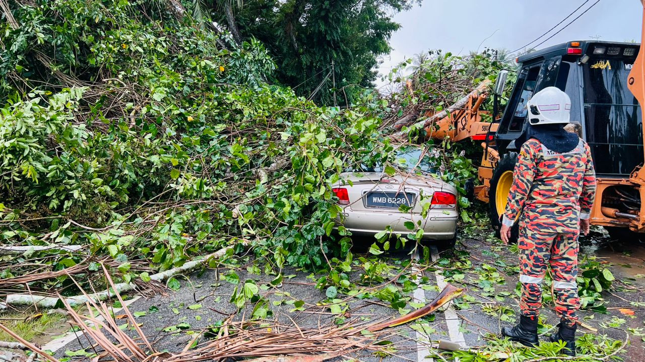 Bomba terpaksa menggunakan peralatan khas dan mendapatkan bantuan sebuah jentolak untuk mengeluarkan mangsa - gambar BBP Pokok Sena