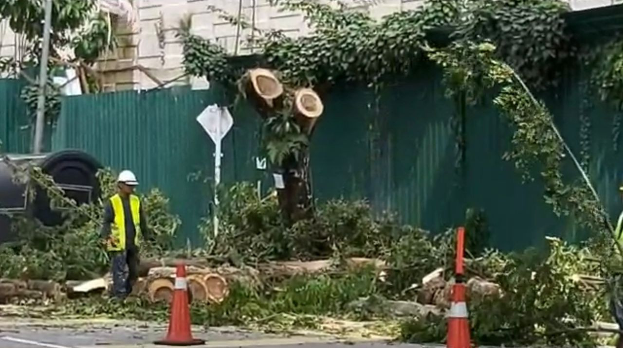 Kerja-kerja penebangan [okok sudah bermula walaupun permit dikeluarkan DBKL telah tamat tempoh