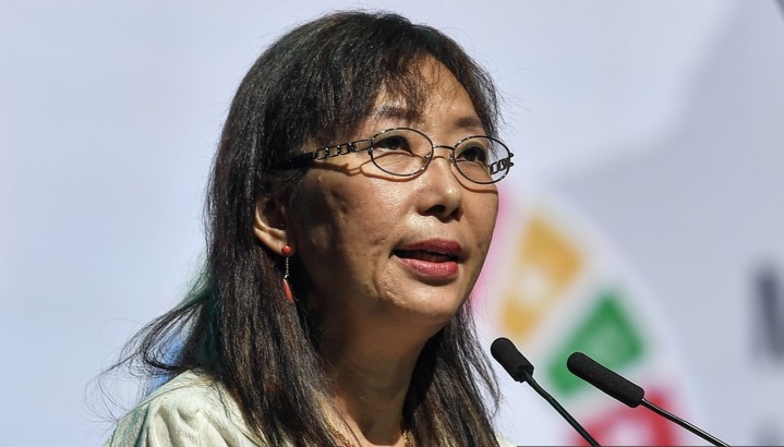 Teresa Kok - Gambar fail