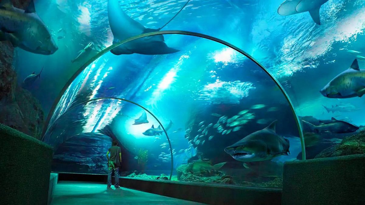 Sea Life Bangkok menyajikan pelbagai hidupan marin yang jarang dilihat 