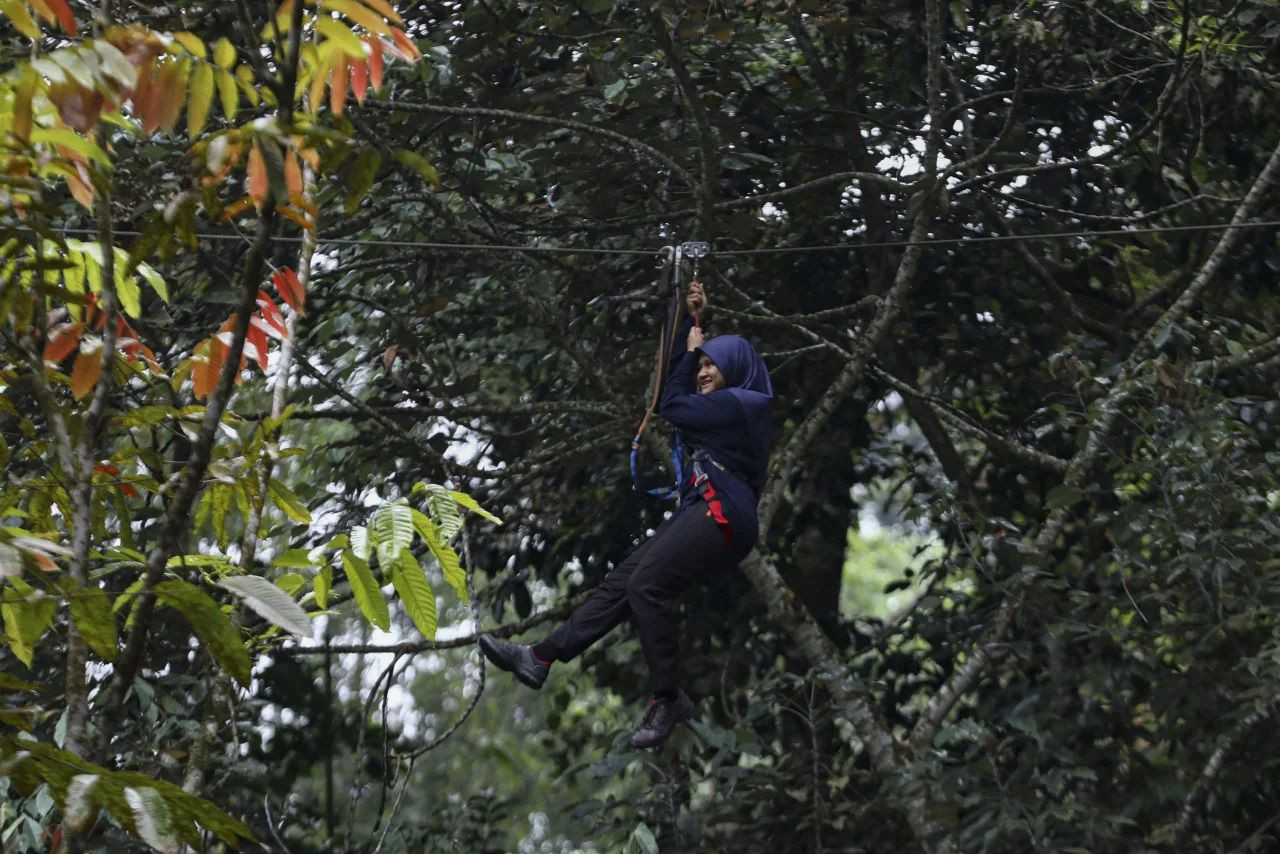 Terbang di celahan pokok antara aktiviti ditawarkan Skytrex Adventure - gambar Getaran
