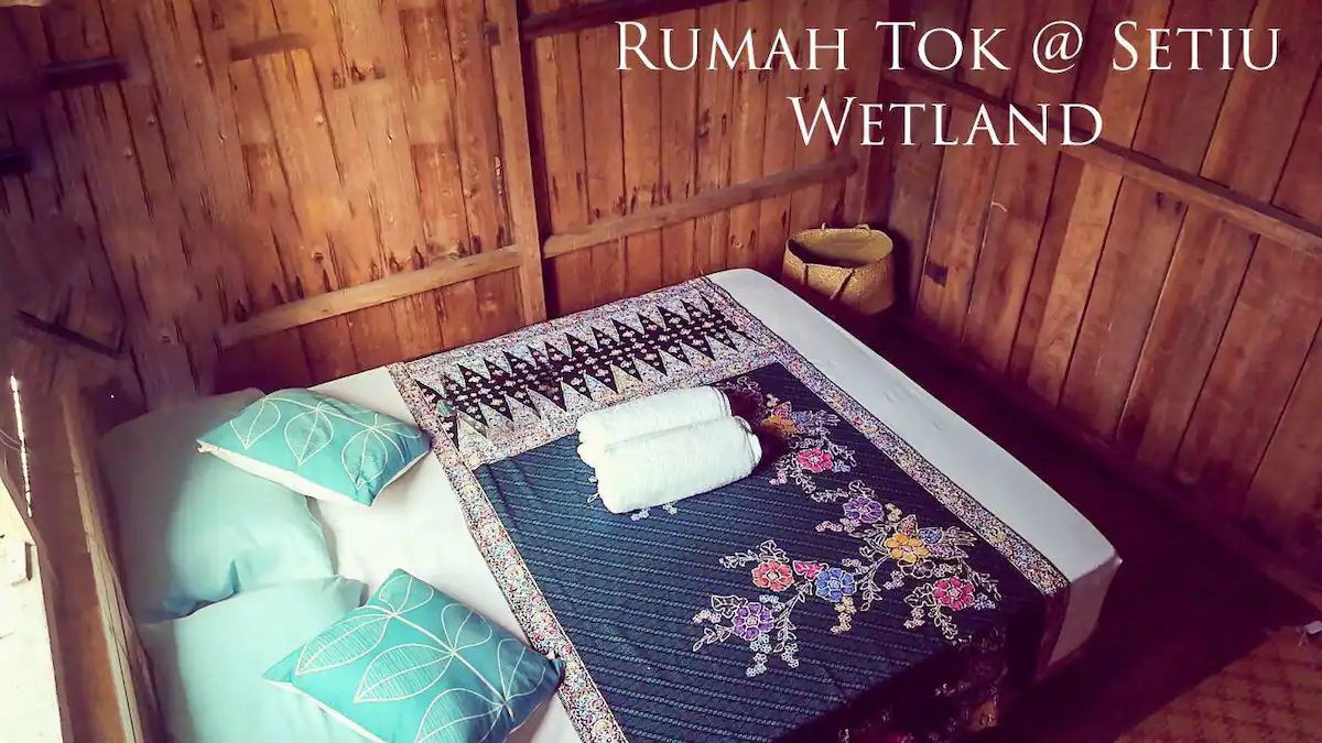 Rumah Tok meraih anugerah untuk Pemuliharaan Biodiversiti daripada AirBnb - gambar AirBnb