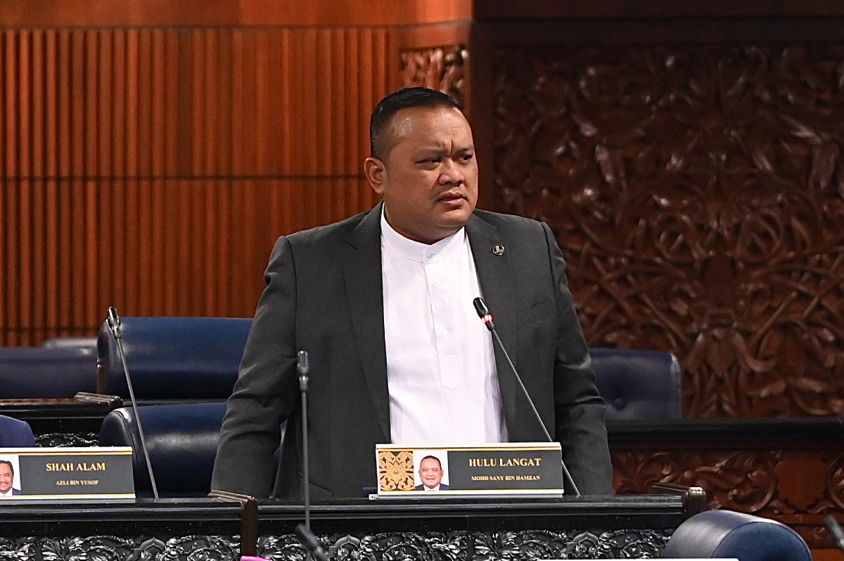 Mohd Sany Hamzan - Gambar dari Jabatan Penerangan