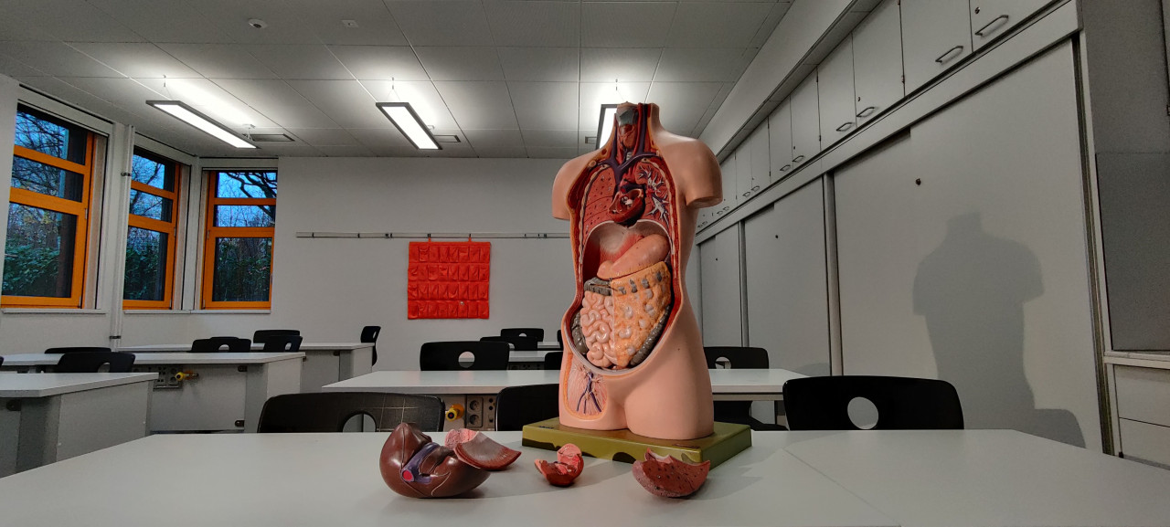 Malaysia turut menandatangani The Declaration of Istanbul on Organ Trafficking and Transplant Tourism (2008) yang menyatakan bahawa organ untuk transplantasi haruslah diagihkan secara saksama kepada penerima yang sesuai tanpa mengenal jantina, etnik, agama, mahupun status sosial atau kewangan - Gambar hiasan Unsplash