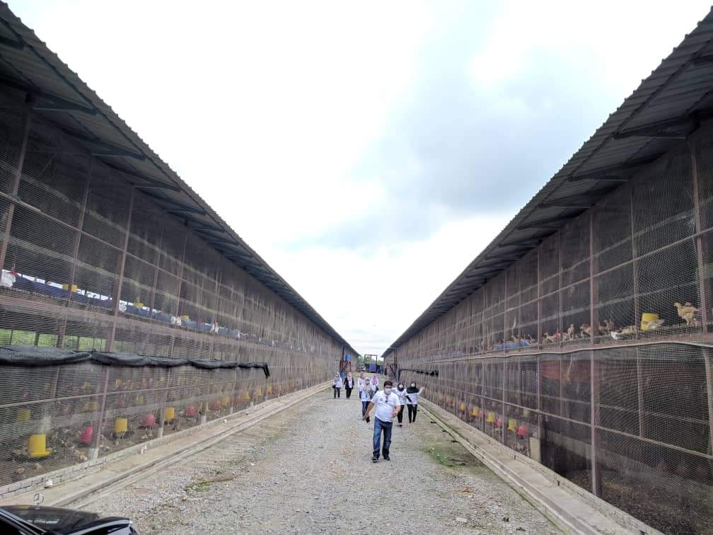 Ladang ternakan ayam milik ArisProp Holding Sdn Bhd di Banting.