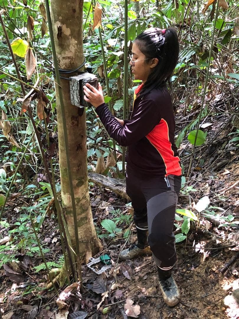 Natasha memeriksa kamera yang digunakan untuk merakam gambar raja rimba itu. - Gambar Natasha
