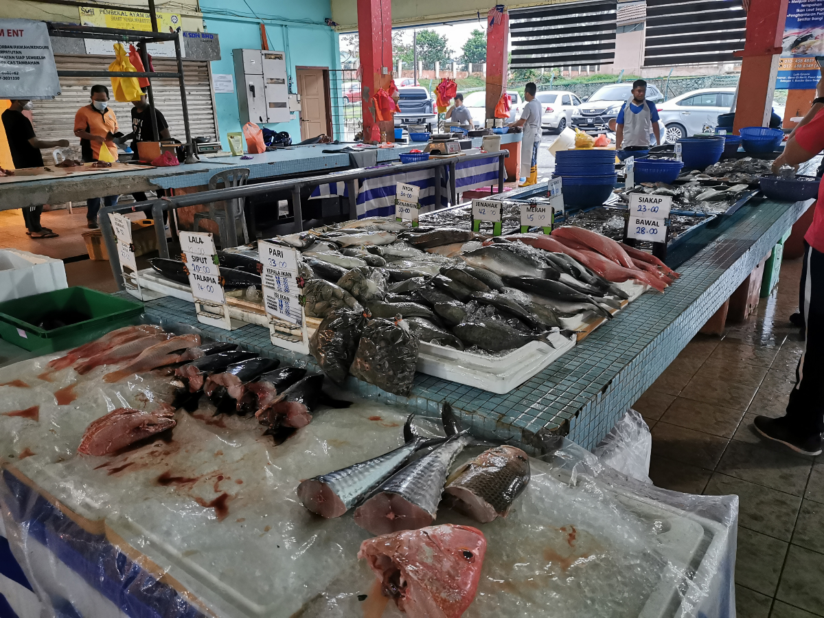 Undang-undang yang digubal kelak perlu dilaksanakan secara menyeluruh demi membanteras kekurangan bekalan ikan yang disebabkan oleh pelbagai faktor. 