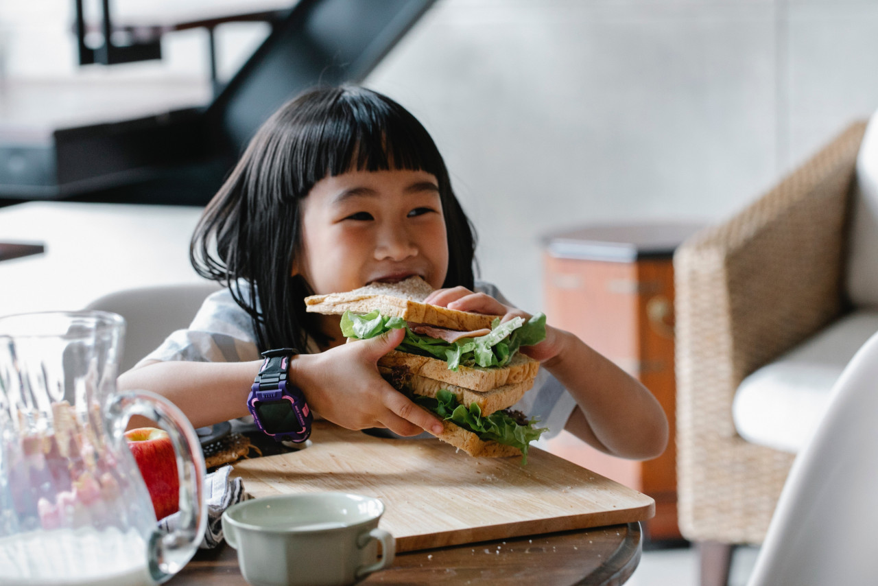 Secara umumnya, makanan yang diambil oleh kebanyakan orang pada masa ini  tanpa disedari sebenarnya tidak seimbang dan amat rendah kandungan zat-zat surih atau mikro - Gambar hiasan Pexels