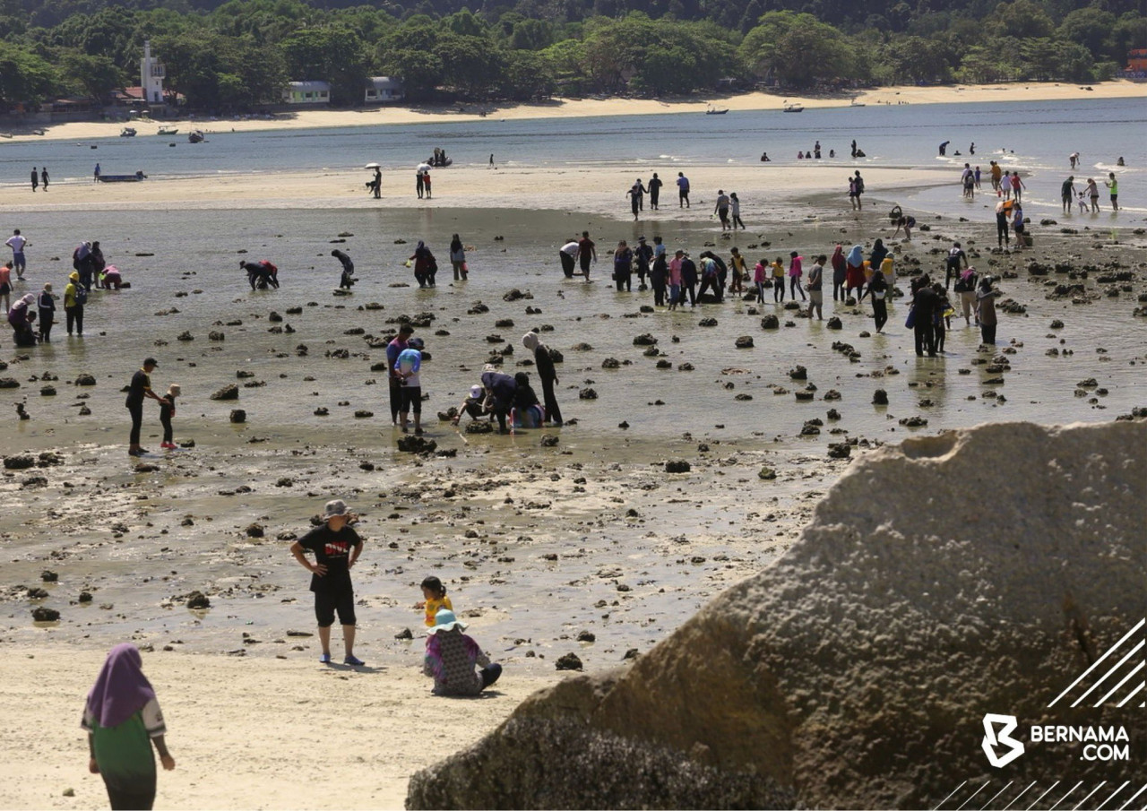 Pelancong dari dalam dan luar negara tidak melepaskan peluang menyeberang ke Pulau Giam, bagi merasai fenomena air surut yang berlaku pada pertengahan Februari setiap tahun.