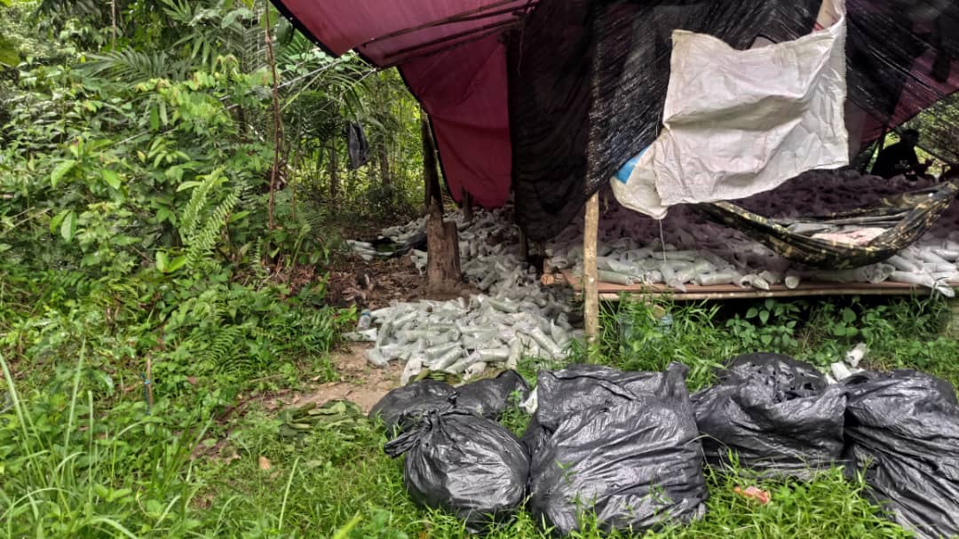 Daun ketum yang dirampas anggota PGA7 di sebuah kediaman di Kampung Air Merbo, di sini, semalam. - Gambar Ihsan PGA7