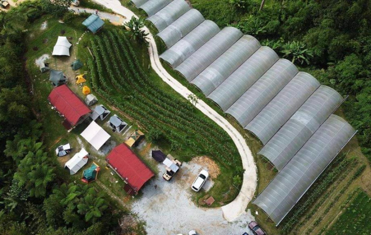 Tanah runtuh berketinggian 30 meter berhampiran ladang organik itu telah menghempap tapak perkhemahan yang berdekatan dengan jalan.